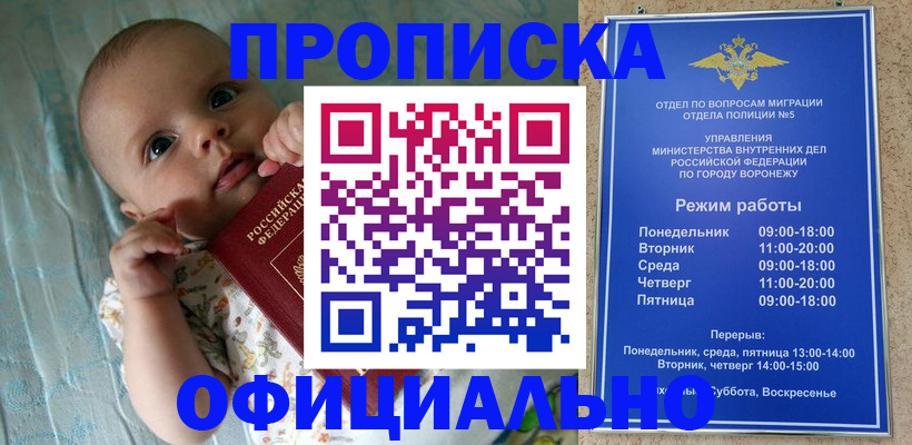 временная регистрация в Шагонаре